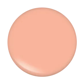 After Glow Lip Gloss Set - "Oh My Gloss"