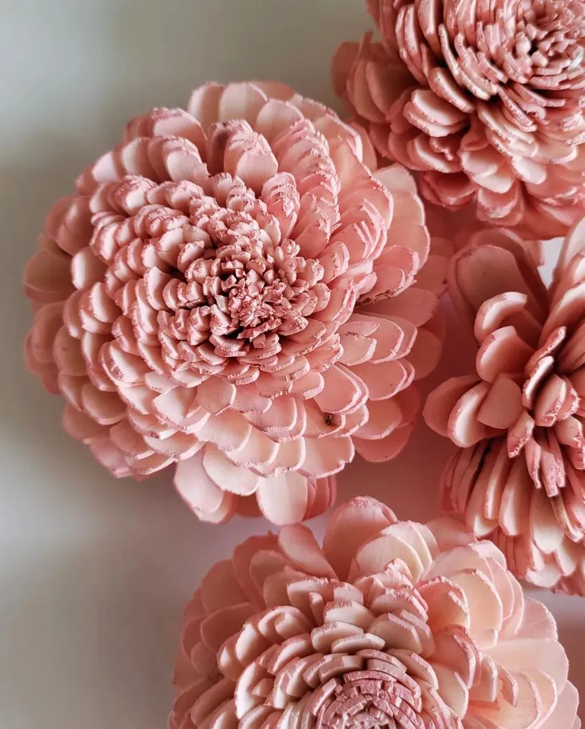 Blush Flush Sholapith DIY Flower Bunch | 1.33 feet |Vase Not Included | 40 Flower Heads