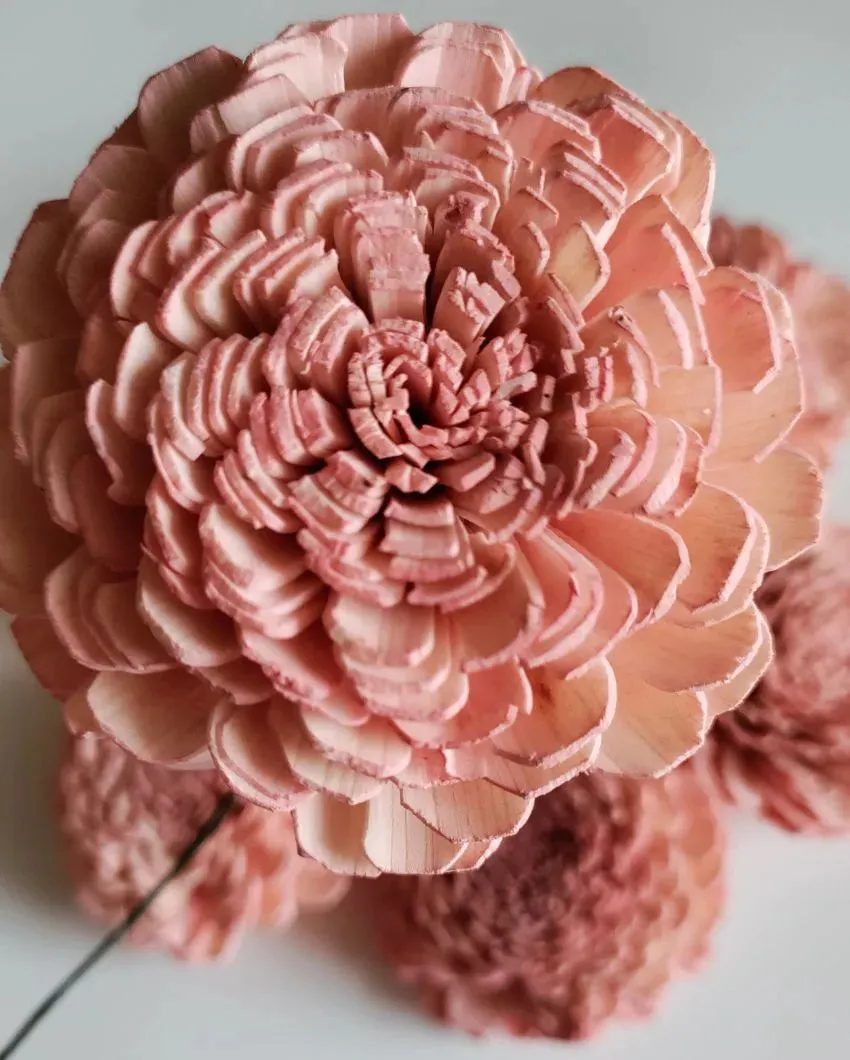 Blush Flush Sholapith DIY Flower Bunch | 1.33 feet |Vase Not Included | 40 Flower Heads