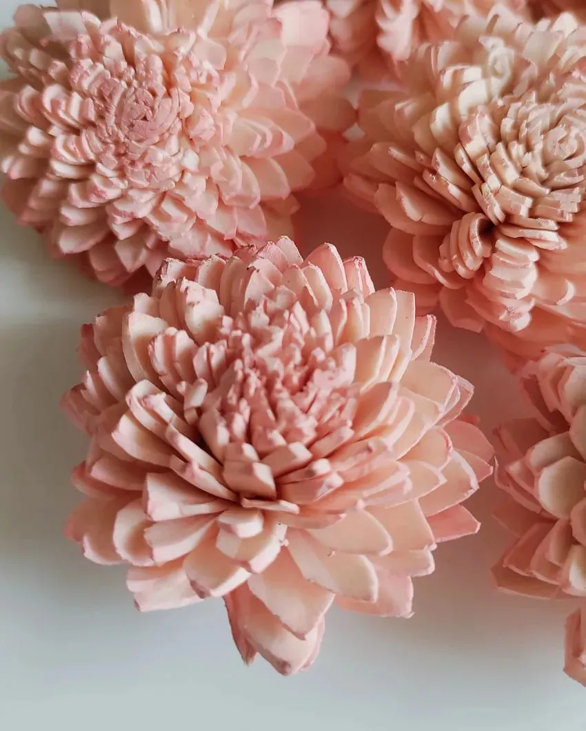 Blush Flush Sholapith DIY Flower Bunch | 1.33 feet |Vase Not Included | 40 Flower Heads