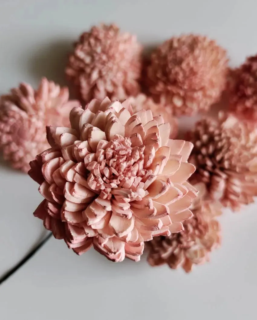 Blush Flush Sholapith DIY Flower Bunch | 1.33 feet |Vase Not Included | 40 Flower Heads