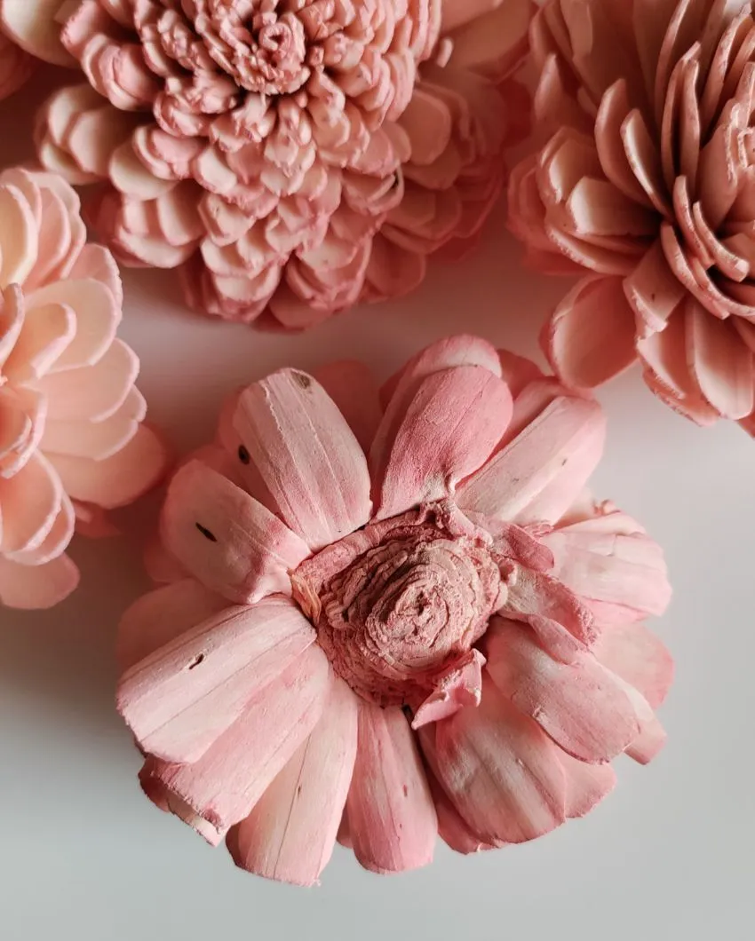Blush Flush Sholapith DIY Flower Bunch | 1.33 feet |Vase Not Included | 40 Flower Heads