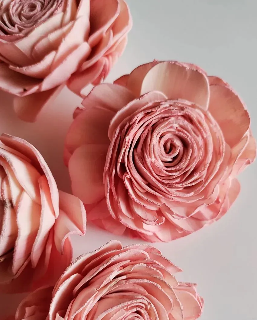 Blush Flush Sholapith DIY Flower Bunch | 1.33 feet |Vase Not Included | 40 Flower Heads