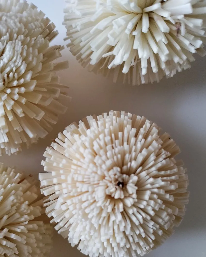 Blush Flush Sholapith DIY Flower Bunch | 1.33 feet |Vase Not Included | 40 Flower Heads