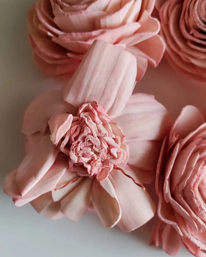 Blush Flush Sholapith DIY Flower Bunch | 1.33 feet |Vase Not Included | 40 Flower Heads