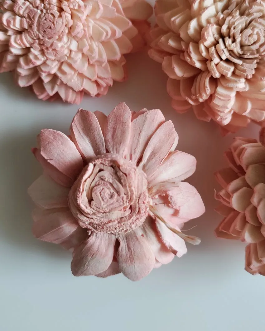 Blush Flush Sholapith DIY Flower Bunch | 1.33 feet |Vase Not Included | 40 Flower Heads