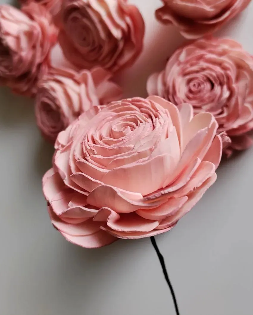 Blush Flush Sholapith DIY Flower Bunch | 1.33 feet |Vase Not Included | 40 Flower Heads