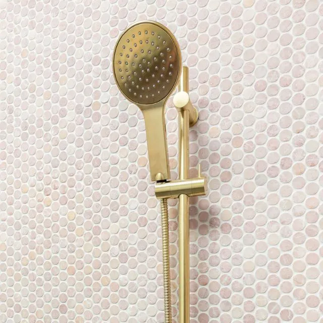 Fienza Kaya Rail Shower Urban Brass