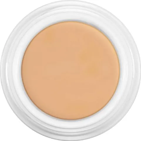 Kryolan Dermacolor Camouflage Creme 4G