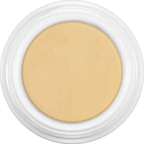 Kryolan Dermacolor Camouflage Creme 4G