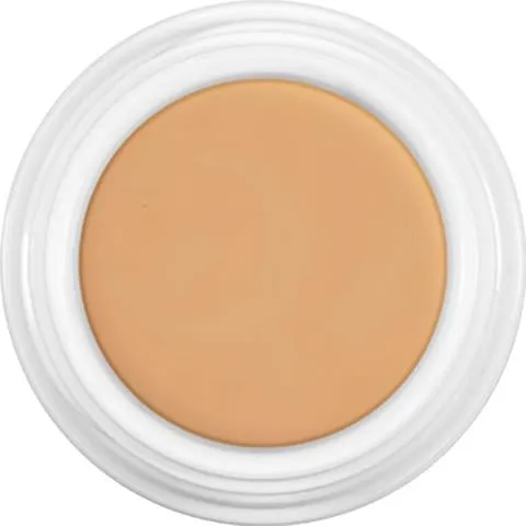 Kryolan Dermacolor Camouflage Creme 4G