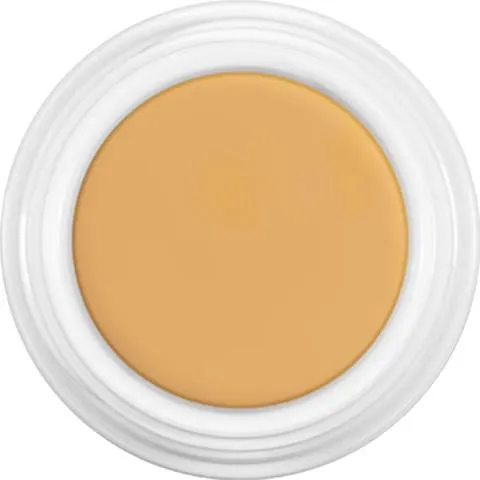 Kryolan Dermacolor Camouflage Creme 4G