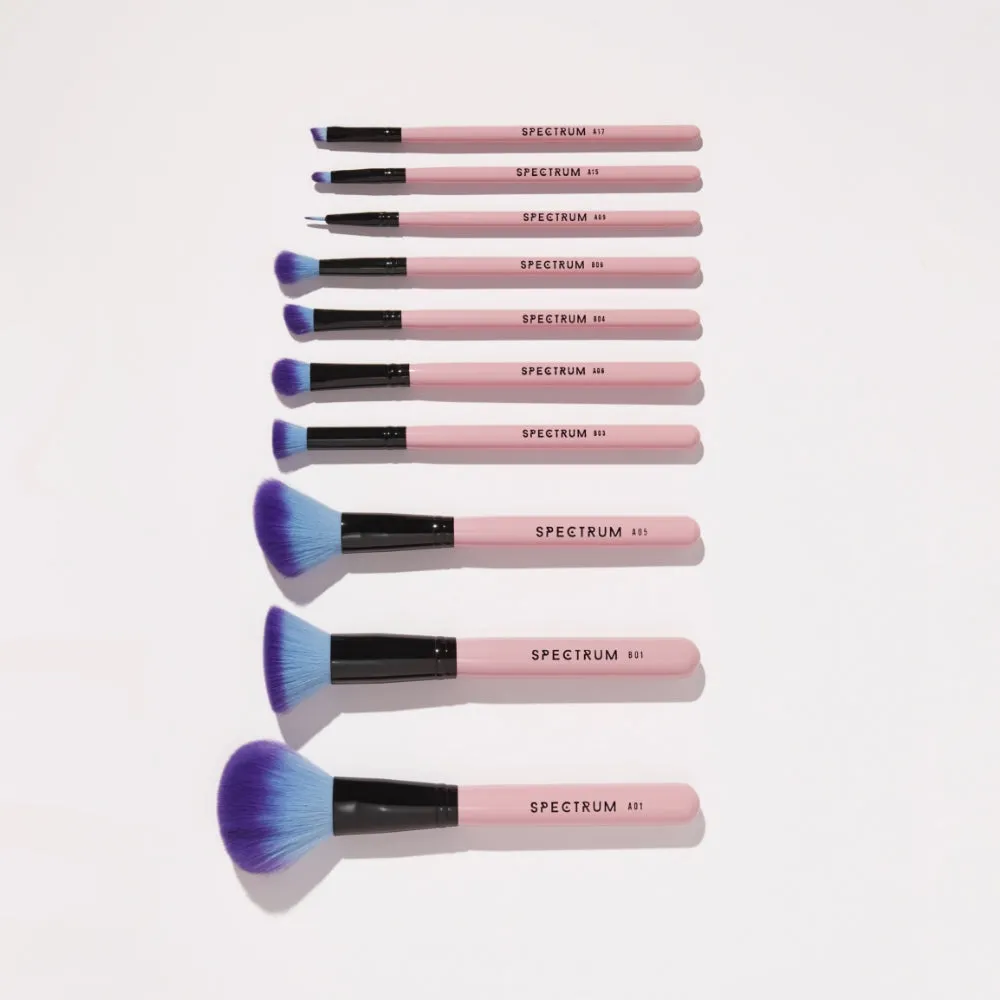 Spectrum Collections 10 Piece Pink Essential Brush Set